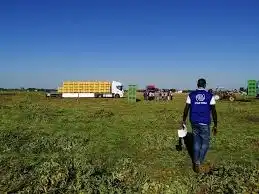 Sfruttamento lavorativo, rinnovata la collaborazione tra OIM e INL