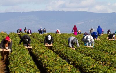 Lavoro. I migranti fanno guadagnare allo Stato 6,5 miliardi di euro