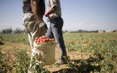 Ingressi per lavoro, il ritorno delle “regolarizzazioni mascherate”?