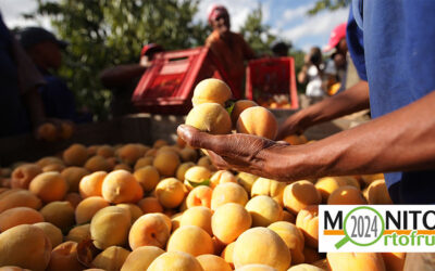 Lavoro agricolo: non possiamo fare a meno degli stranieri e non basta