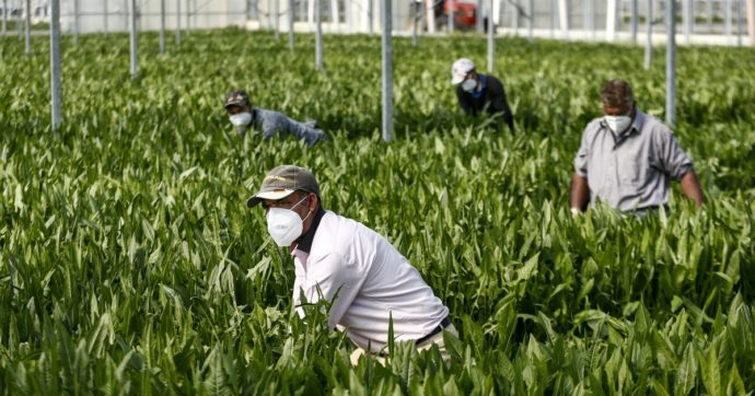 Come assumere uno straniero che ha svolto un corso di formazione all’estero autorizzato dal MLPS?