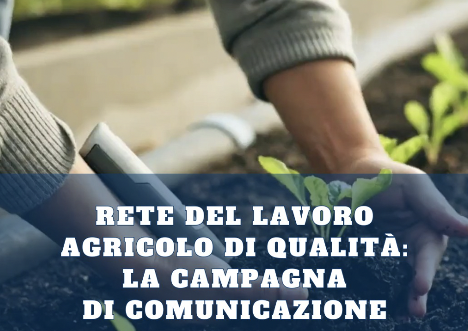 Lavoro regolare, filiere forti: la campagna per la Rete del Lavoro Agricolo di Qualità